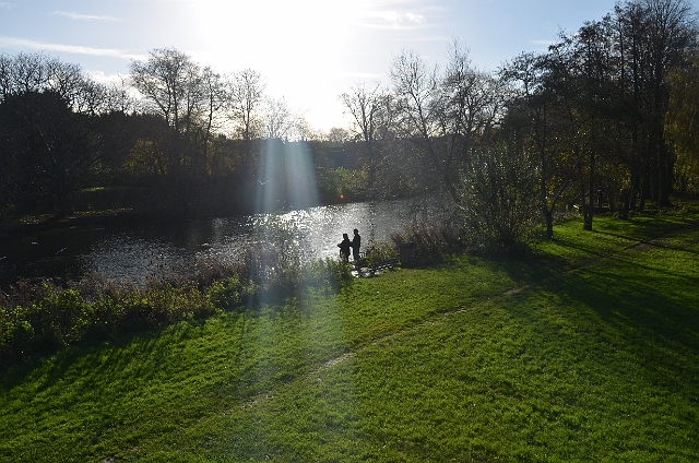 27 11 11_3720.JPG - BLANDFORD FORUM, DORSET
